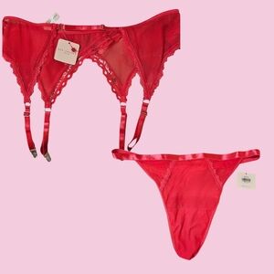 Pink Mesh Garter Belt and Thong Set